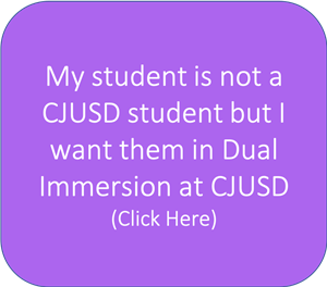 Option 3: DI for non CJUSD students 